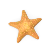 http://137.184.54.85/wp-content/uploads/2024/10/Starfish.B07.2k-2.png